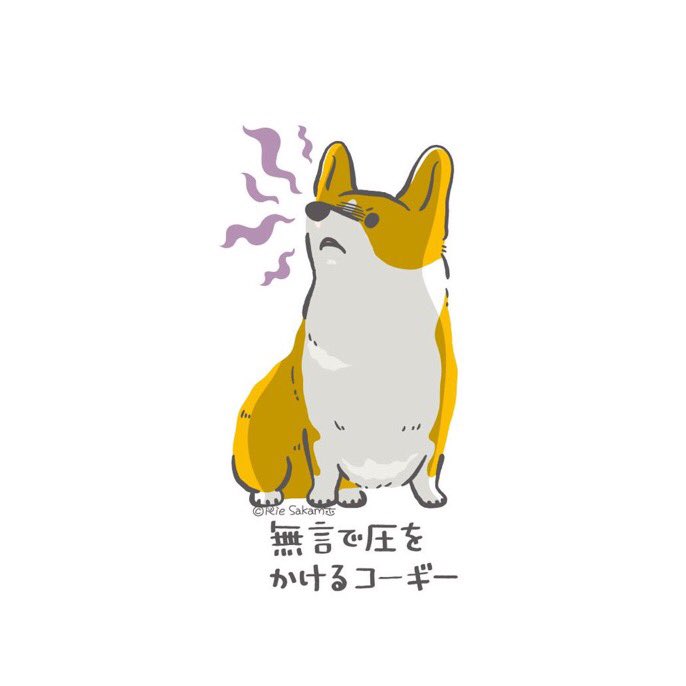 「#今月描いた絵を晒そう
今月は「ごはんを待っているときのコーギーあるある」を描い」|サカモトリエ/イラストレーターのイラスト