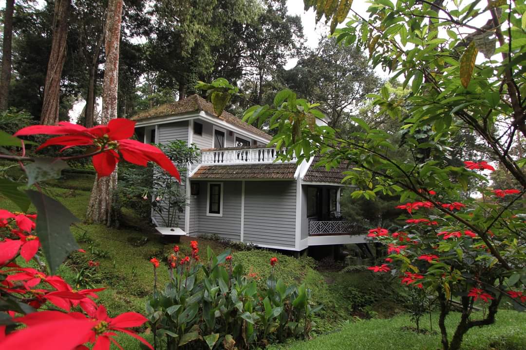 TalltreesMunnar's tweet photo. Cosily tucked away in the heart of nature.....
The Tall Trees Munnar ~ A destination by itslef !
https://t.co/LQkpTBw0G3
#munnar #keralatourism #TTRMunnar #talltreesmunnar #talltreesresort #hillstationholiday #honeymoondestination #munnarvibes #kerala #keralagodsowncountry https://t.co/yRkTtmT0EA