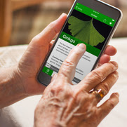 GWIntegrative's tweet photo. To help consumers navigate information about popular herbs and herbal supplements, the @NIH_NCCIH launched HerbList™ – an app for research-based information about the safety and effectiveness of herbal products. https://t.co/CVXTcynYAv #GWSMHS #GW_MFA #GWCancer #GWOBGYN #GWPCP https://t.co/ll02cP3vxv