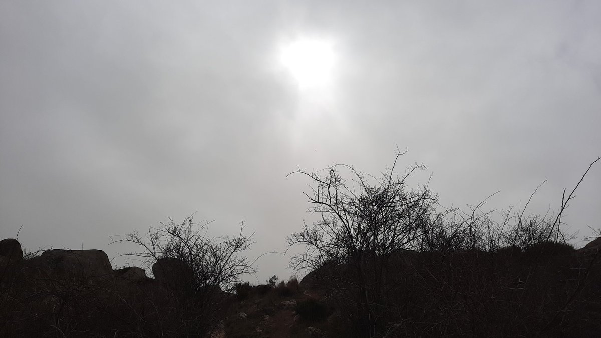 ViolePimpollo's tweet photo. #LosDelTiempoNoDanNiUna #SalimosVolando #NoHaceFaltaAvion @AEMET_Esp @Meteosatcom https://t.co/VKvSG9gyg3