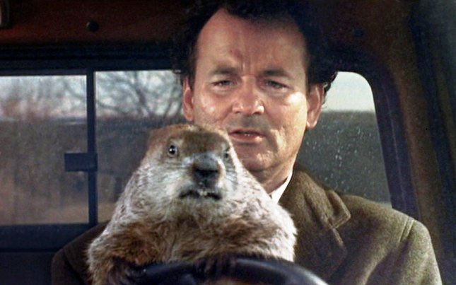 devlingirl's tweet image. Are we all in agreement this is ground hog day &amp;amp; six more weeks of #COVID19ireland #LockdownIreland #FF #FG #NPHET