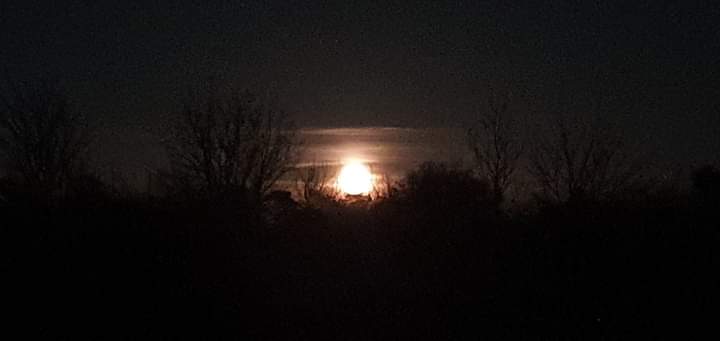 Putting the 'out' back in scouting, this was the moonrise at one of our district campsites last night...
