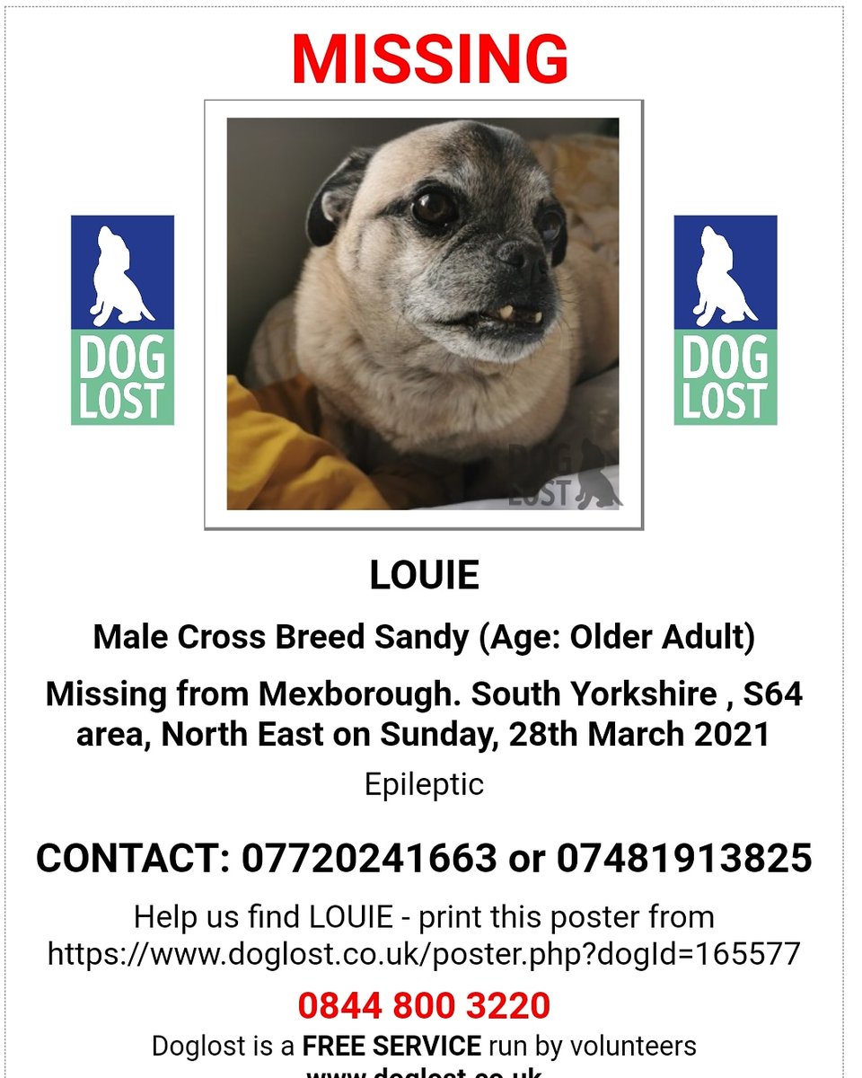 Missing since 28th of March 2021. #Mexborough, #Doncaster #findlouie #missingdoguk #missingdog #lostdog #jugdog #lostdoguk