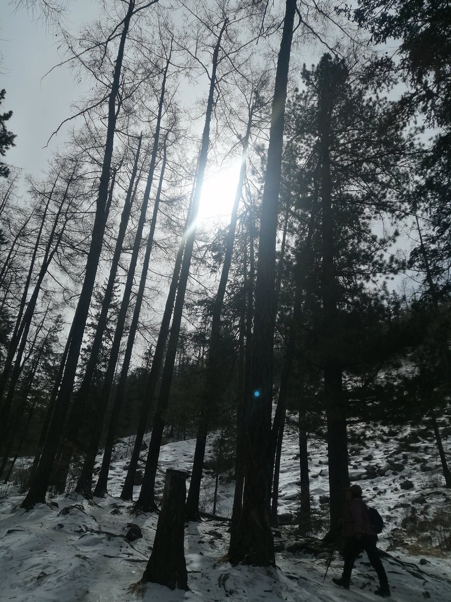 Богд ууландаа алхаж уушгиа баярлуулъя