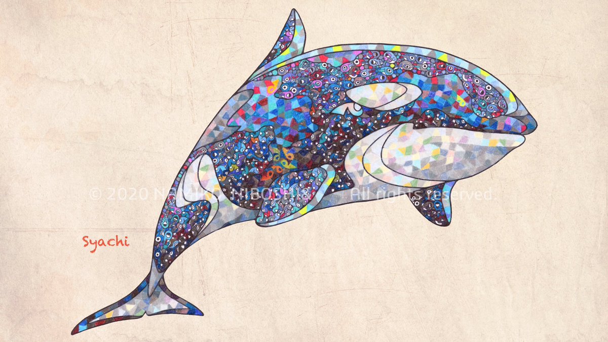 Namiko イラスト図鑑 シャチ File237 ナミちゃん イラスト 魚 シャチ オルカ