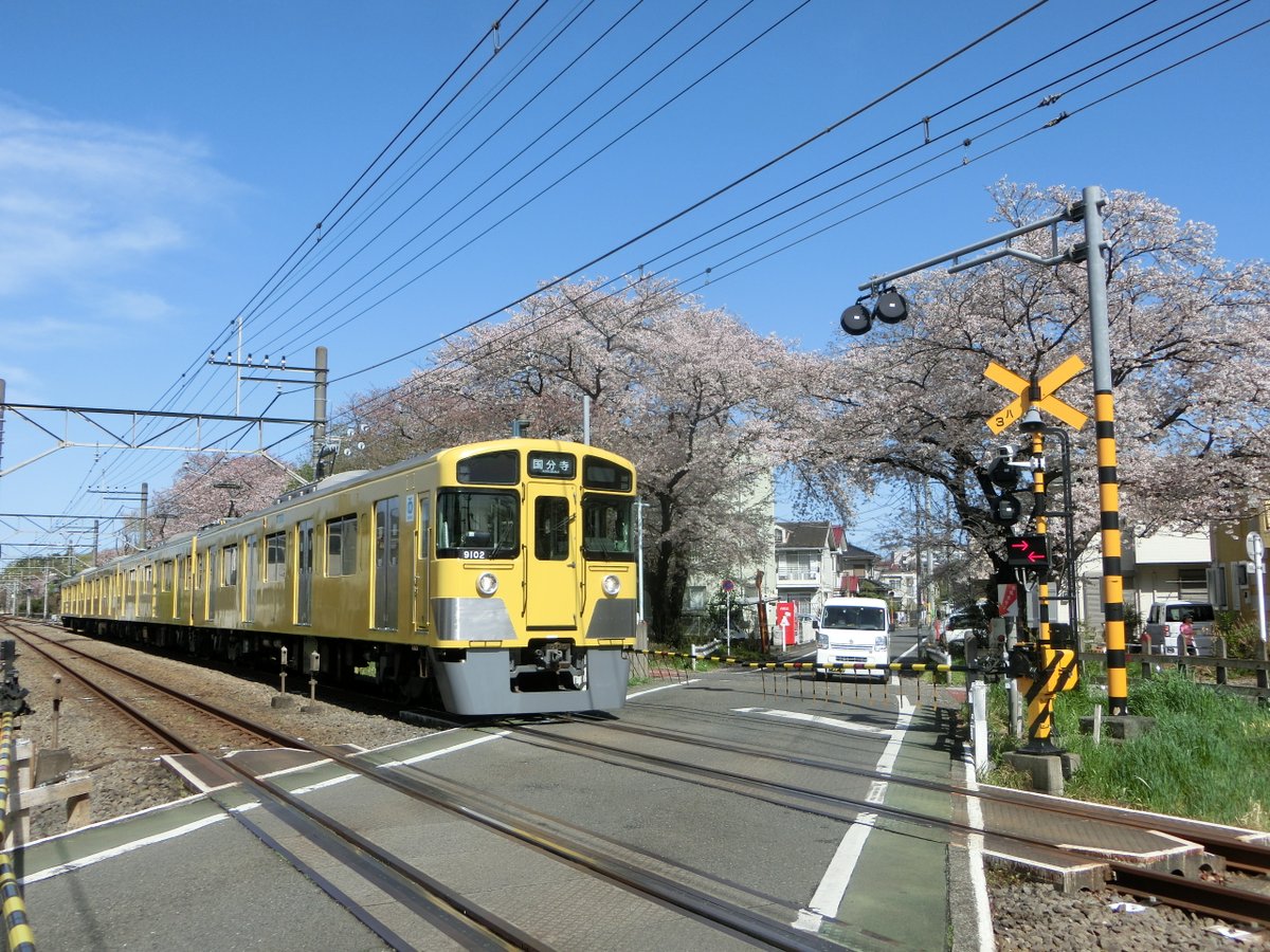 １０月の列車 Youtubeに 新しい動画をアップしました 今年21年春の多摩湖線沿いの桜を 電車とともに写したものです 新101系が消え 9000系と迎える初めての春 宜しければ どうぞご覧ください 西武多摩湖線と桜 21 T Co 9yfhmmueqf