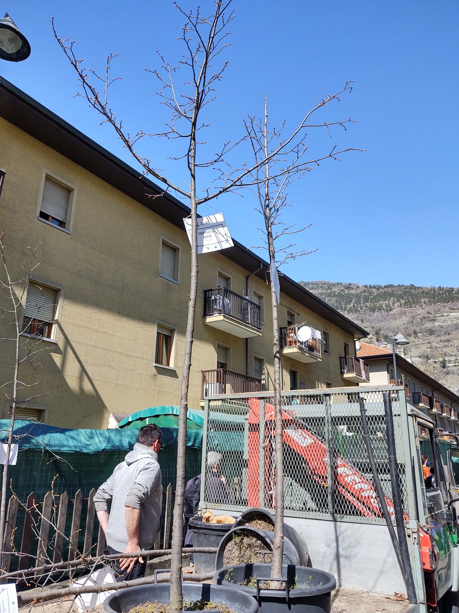 ComunediAosta's tweet photo. Piantumazioni in via #lexert nell'ambito del progetto sociale "Riuso, recupero e... ricordo nel mio quartiere”. @vallevirtuosa #associazionemia #csv @MinLavoro #rava https://t.co/zMMTzANXY4