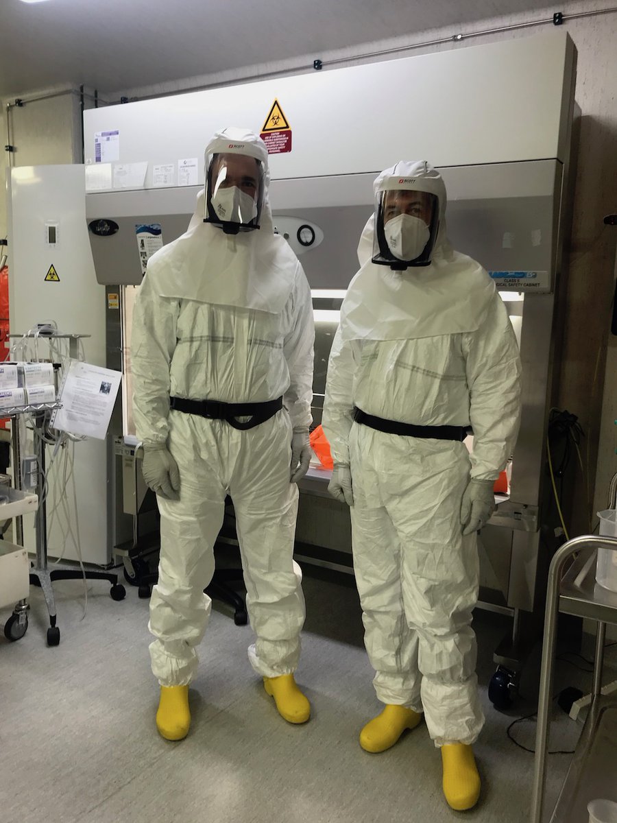 iviromics tweet media