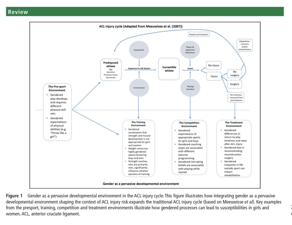 Fantastic initiative and support by <a href="/BJSM_BMJ/">British Journal of Sports Medicine (BJSM)</a> making this important paper FREE to access. 

If you work with female athletes of any level in a coaching, clinical or performance role.....you must read this. 

👇