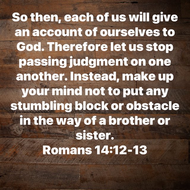 bible.com/111/rom.14.12-…