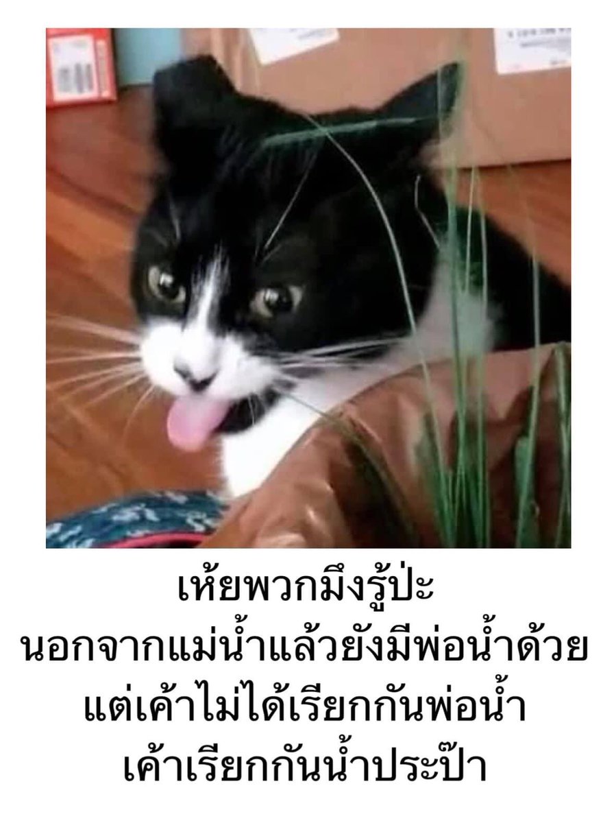 คุณหมี | ฟอนต์ลายมือ ✨ tweet media