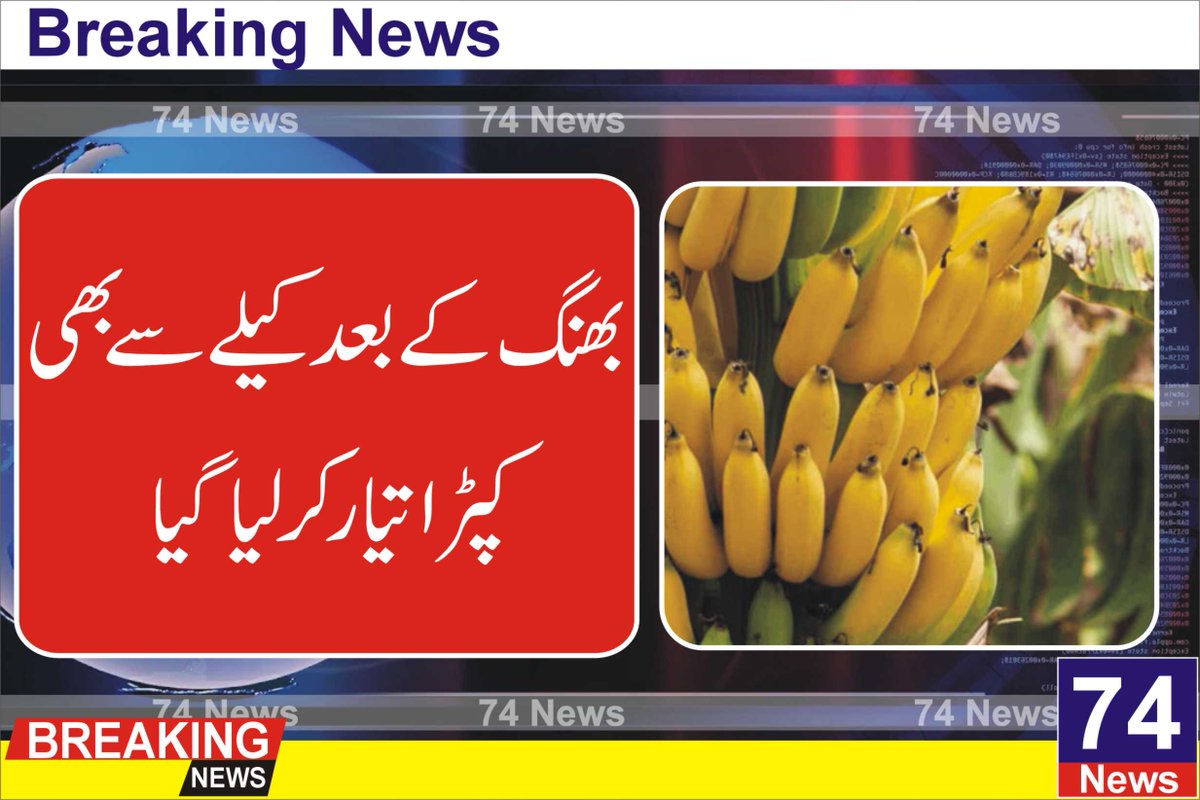 74Newslive's tweet photo. پاکستان میں کپڑے کی صنعت میں بڑی پیش رفت دیکھی جارہی ہے، بھنگ کے بعد اب کیلے کے درخت کے تنے سے بھی کپڑا بنا لیا گیا۔

تفصیلات کے مطابق یونیورسٹی آف انجینیئرنگ اینڈ ٹیکنالوجی کے ماہرین نے کیلے کے درخت کے تنے سے کپڑا تیار کرلیا۔
https://t.co/hBN2YKpXqK https://t.co/f0kbUaDvTh