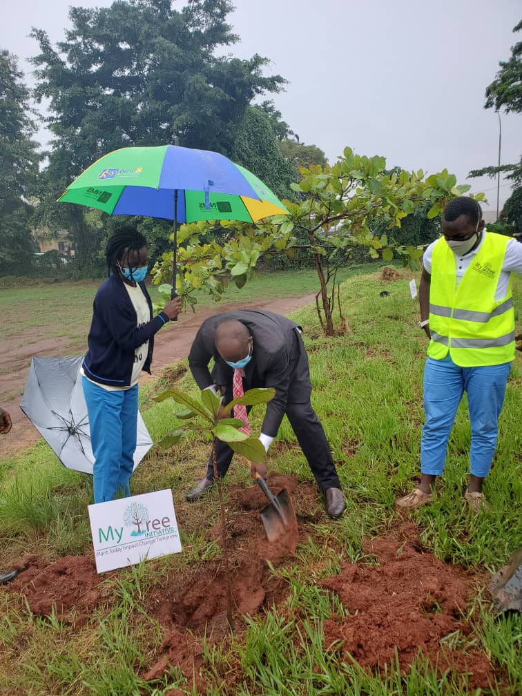 ainbyoo's tweet image. Planted a tree at Old Kampala  Secondary  School today   in Commemoration  of our health  workers  who have lost the battle  to COVID-19. This was also in effort  to mitigate  Climate  change  @MinofHealthUG @WHOUganda