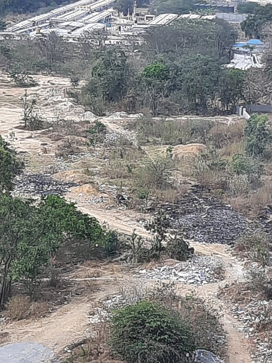 singhalsumeet's tweet photo. Situation after large scale illegal garbage burning.  @BBMPSWMSplComm @CMofKarnataka https://t.co/9FVXZVT8rm