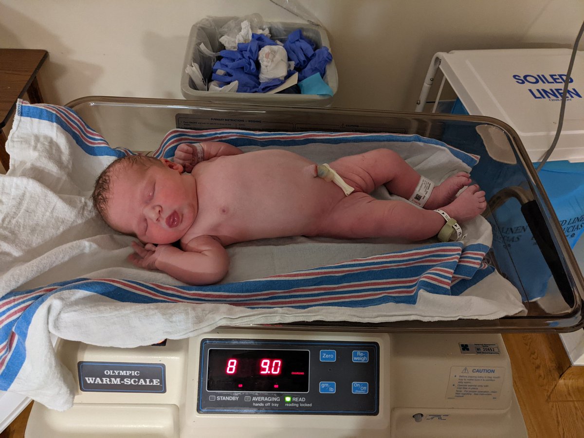 Ptferguson11's tweet photo. We added another addition to the family yesterday at 3:38am. Meet Eloise Jane Ferguson. #TEAMFERG https://t.co/DJ9jJePreI
