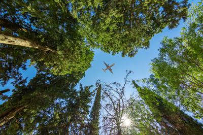 There are now a growing number of ways to offset the emissions associated with flights. advisorstream.com/read/feeling-g…