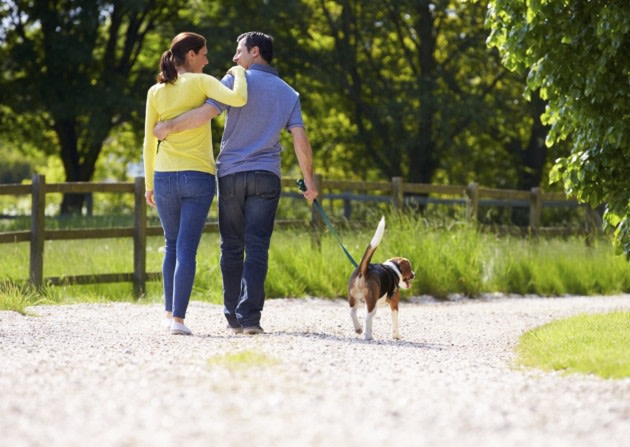 OB1Insurance's tweet image. It's National Take A Walk In The Park Day. 🚶‍♀️

Stretch your legs on your favorite trail or at your local neighborhood park. After a long busy day, it's a calming &amp;amp; therapeutic way to relax would be a nice, leisurely walk in the park.