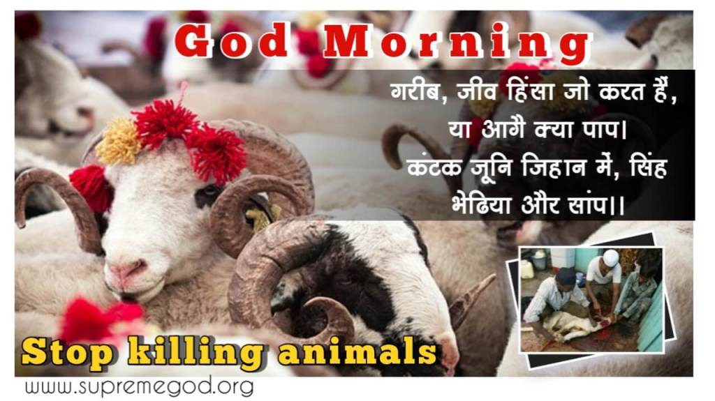 🌅 #GodMorningTuesday 
Stop Eating Meat
Stop Killing Animals
#TuesdayThoughts
#TuesdayMotivation

कबीर, जीव हनै हिंसा करै, प्रगट पाप सिर होय।
निगम पुनि ऐसे पाप तें, भिस्त गया नहिं कोय।।

सत ज्ञान प्राप्त करने के लिए Satlok Ashram Youtube Channel पर Visit करें |