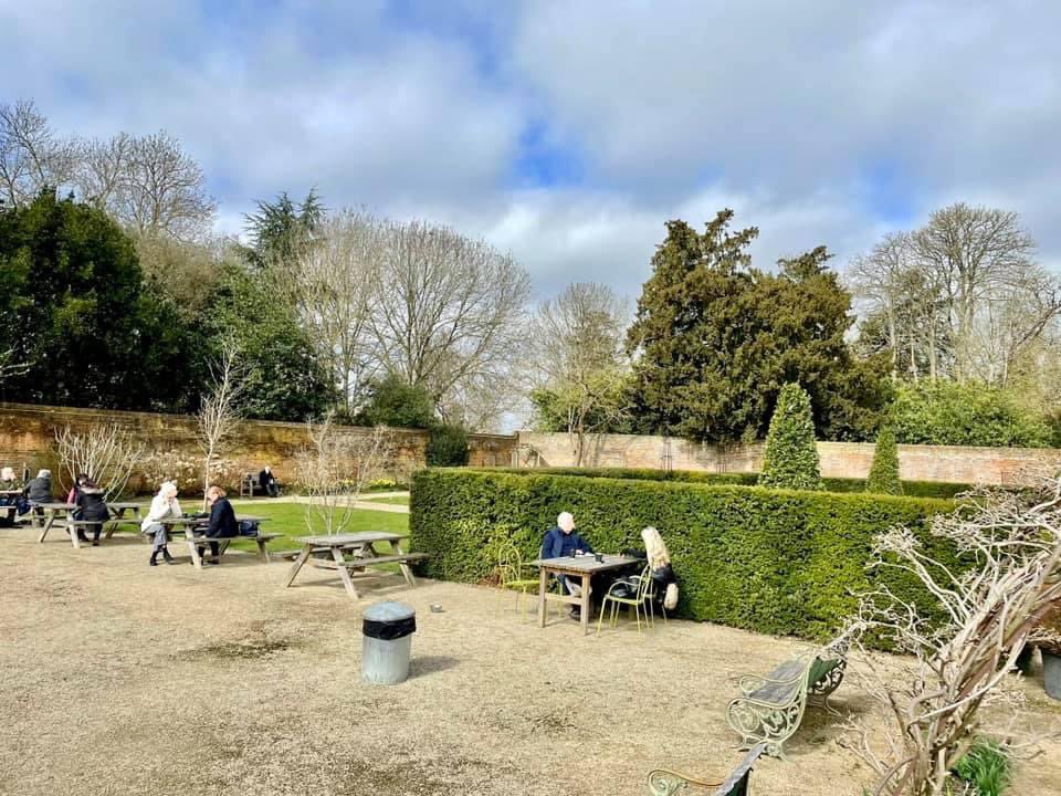 Crocus at Dorney Court tweet media