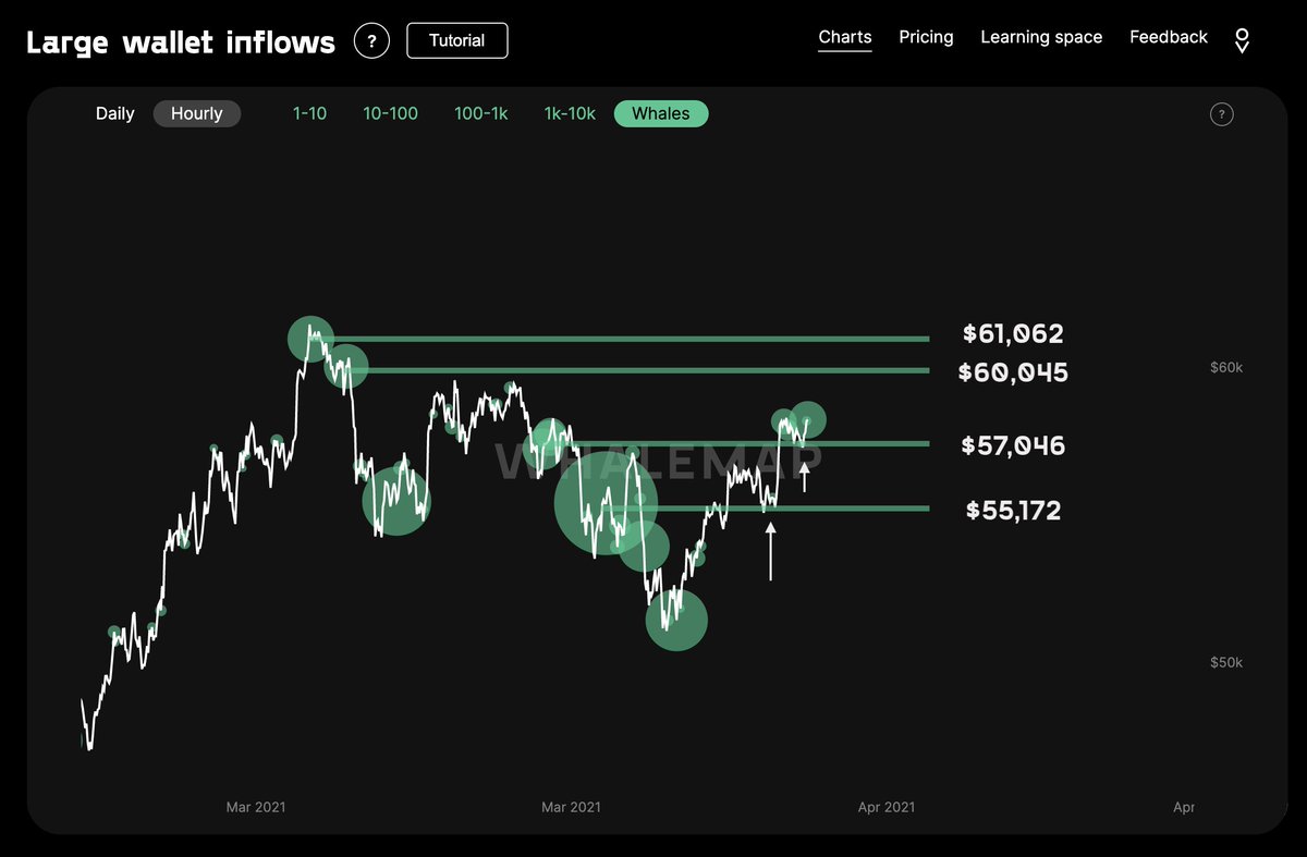 whale_map's tweet photo. $BTC is back. Bouncing perfectly from whale supports so far. This is a good sign: in bear trends, whale resistances work better than supports and vice versa for bull trends. Whale supports are back to business now which means the trend has shifted. April should be quite fun 👀 https://t.co/TYyX8Jafw0