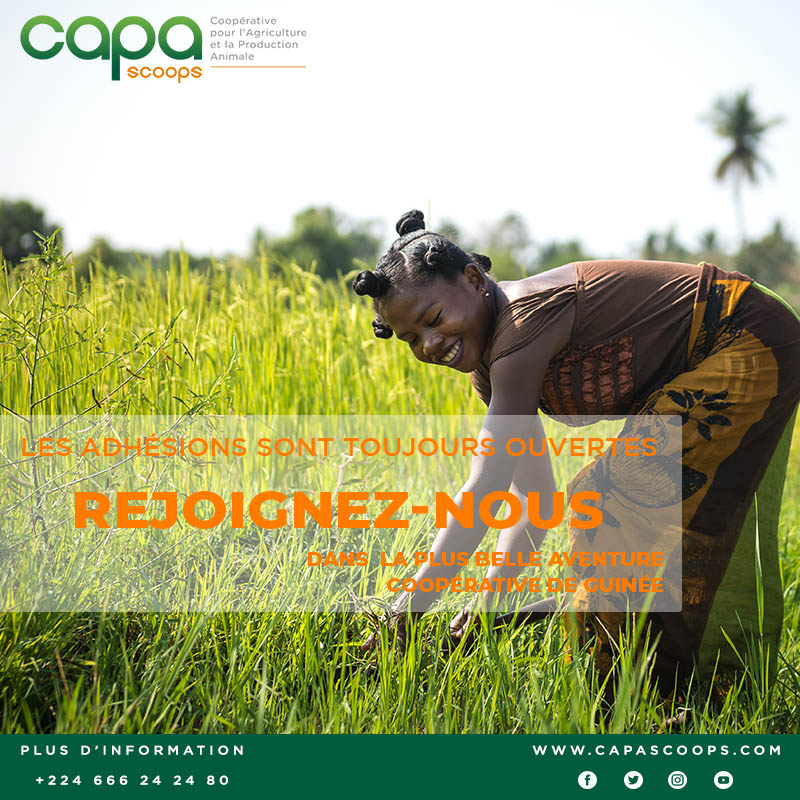 capascoops's tweet photo. #Adhésion2021 #BeCAPA
Nous accueillons toujours de nouveaux membres associés au sein de #CAPA. Prenez le temps de découvrir comment rejoindre notre coopérative. Nos équipes sont à votre écoute et répondront à toutes vos questions. https://t.co/5jIRh0HYye