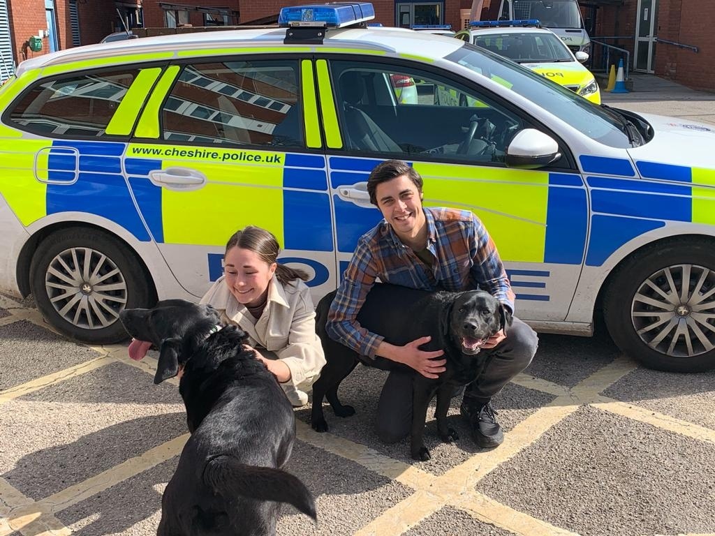 We are delighted to say we have recovered the two dogs that were stolen from outside a Marks & Spencer store in Nantwich on Saturday. The Labradors were found at an address in Stoke-on-Trent this morning. As you can see, they have been returned to their hugely relieved owners.