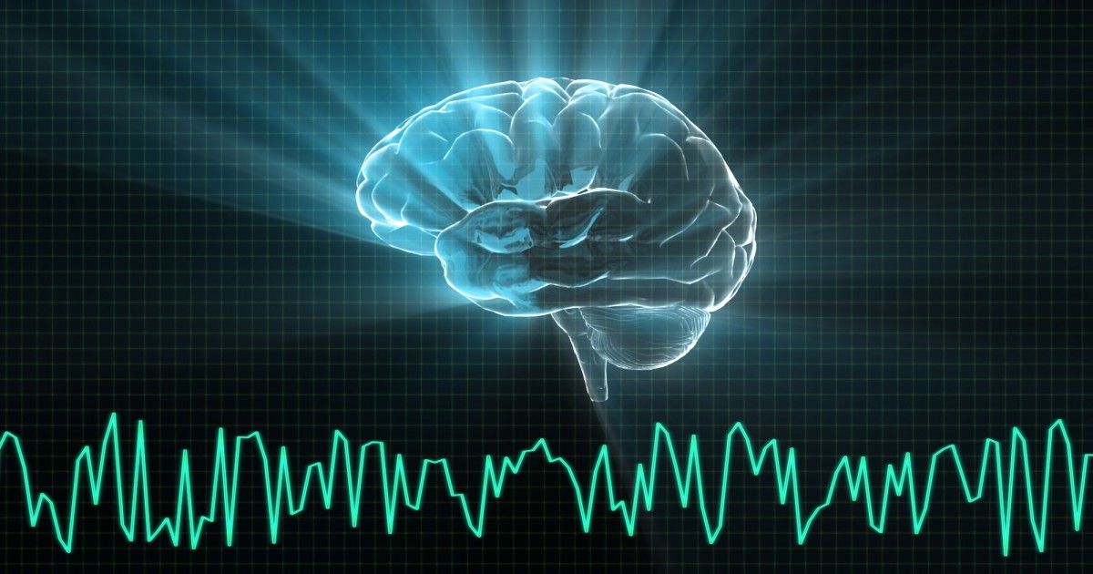 HLTHRun's tweet photo. A new study found that ‘Zombie genes’ increase activity in the brain after death and they are primarily related to inflammatory activity https://t.co/rtqkxn1IkG
#genes #shivom #genomics #zombiegenes https://t.co/paSnkkLdWU