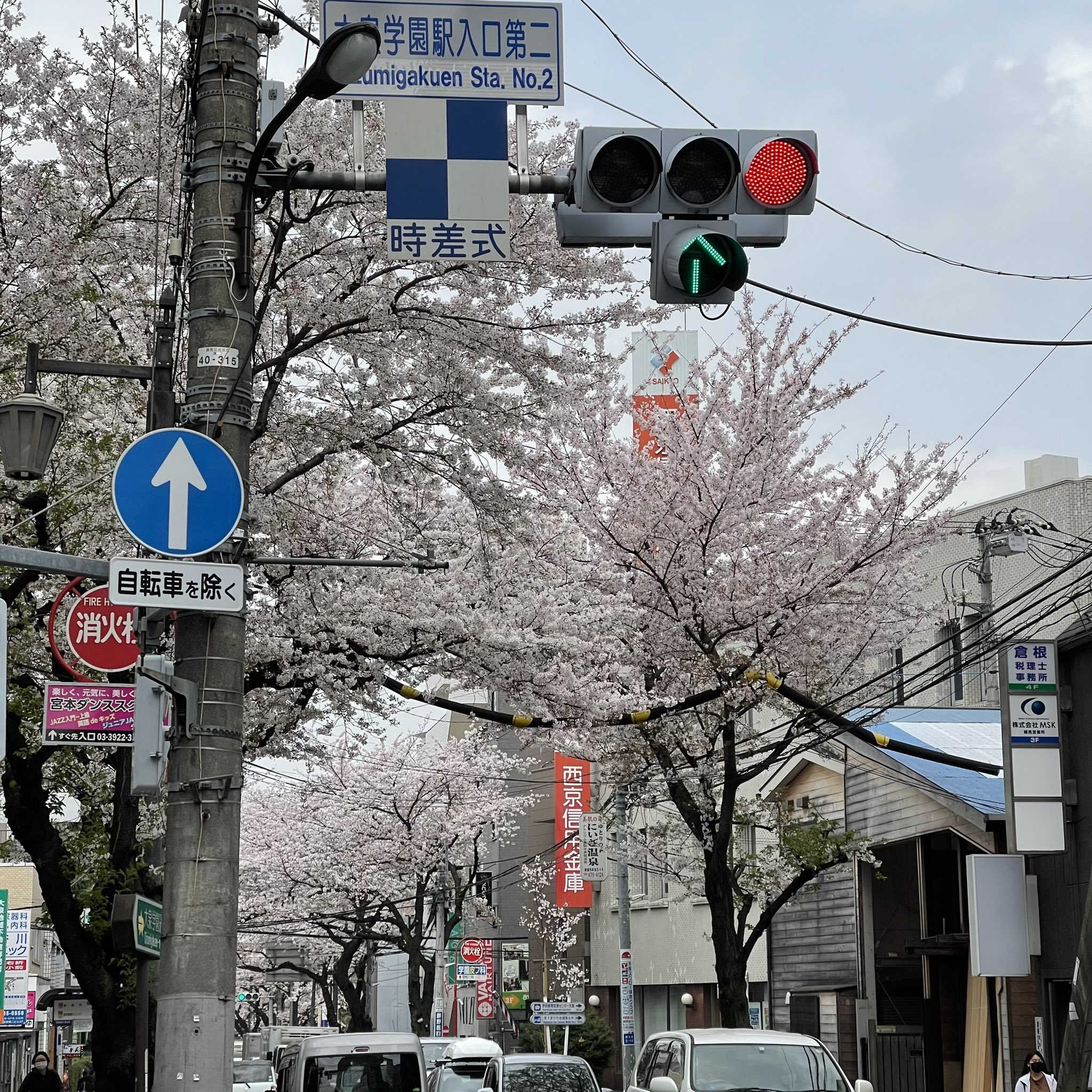 保谷ブックマーク 大泉学園通りの桜が満開 桜並木を散歩して 大泉のお店でランチかディナーが最高 T Co R7pmlfycgd 大泉学園ディナー 大泉学園グルメ 大泉学園ランチ 大泉学園通り 大泉学園駅前 大泉学園駅 大泉学園 保谷