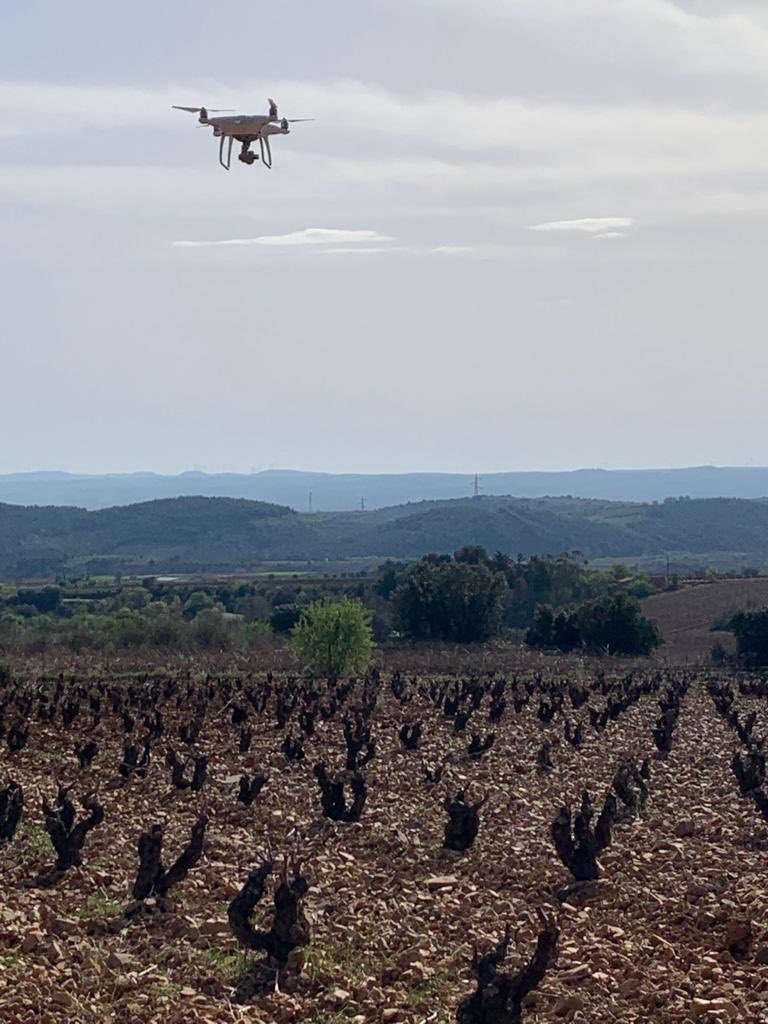 TotemComunicac's tweet photo. Seguimos disfrutando de estos rodajes que tanto aportan a la hora de conocer la viña en todos sus estados. #lloro #brotación #YemaHinchada #TotemComunicacion https://t.co/8vftWFvZUc