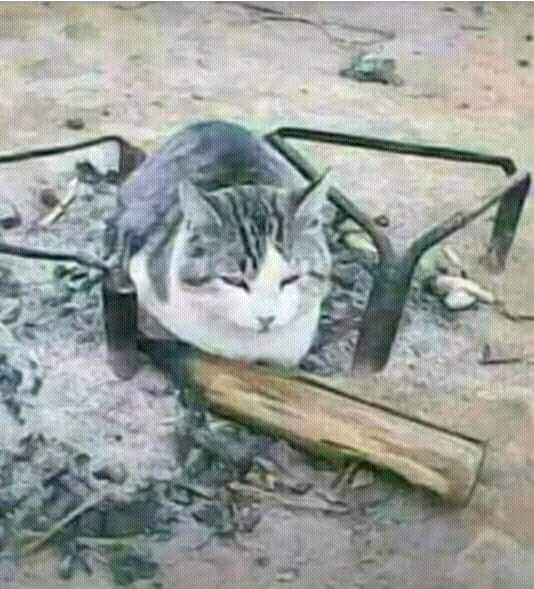 Pushy_N9's tweet photo. #CPUTMUSTFALL2021
📍Ndim olele eziko😭 https://t.co/mlYqGjAivy