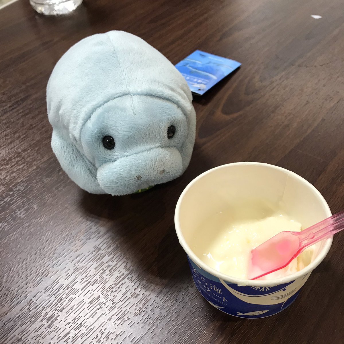sunamerius02's tweet photo. マナティ最高だった。。 https://t.co/6G8OYlu76a