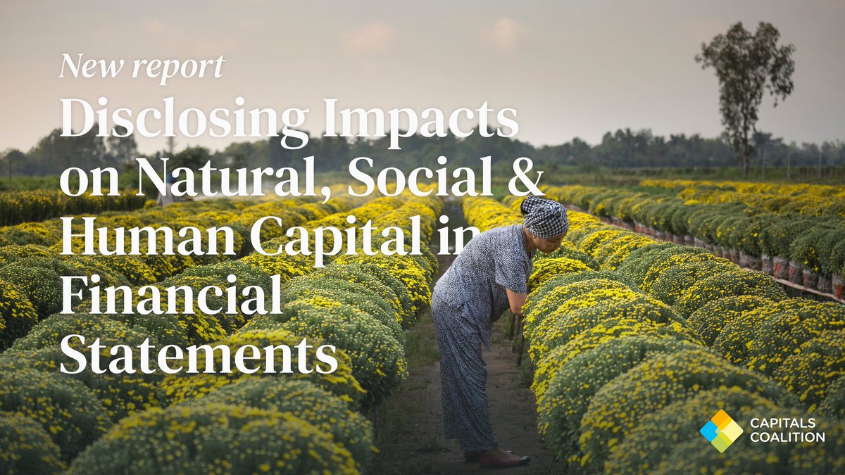 CapsCoalition's tweet photo. Calls to redefine capitalism are rising. To succeed, the field of financial reporting &amp; the content of financial statements must evolve. 

Find out more in our latest report: Disclosing Impacts on Natural, Social &amp; Human Capital in Financial Statements.

https://t.co/VeXHZiBf0a https://t.co/vJCqMS0OzG