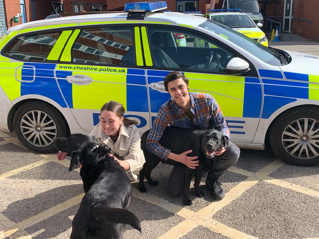 BREAKING NEWS: Stolen Nantwich Labradors FOUND in house in Stoke-on-Trent and returned to owners!  Three people arrested  by <a href="/cheshirepolice/">Cheshire Police</a>  thenantwichnews.co.uk/2021/03/30/sto…
