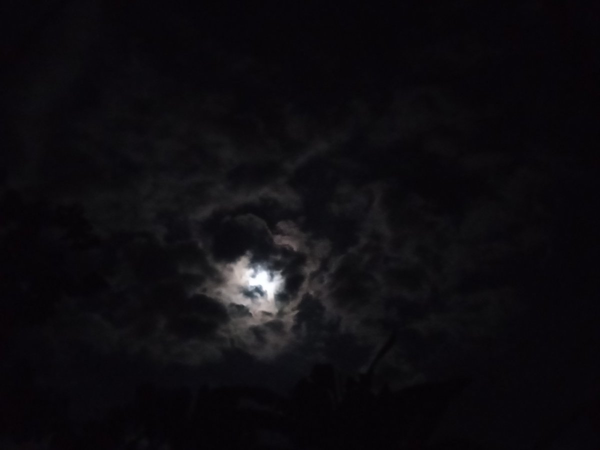mscoolxcat's tweet photo. ...in its darkness I found comfort. 💖 https://t.co/xfiNAxCwB8
