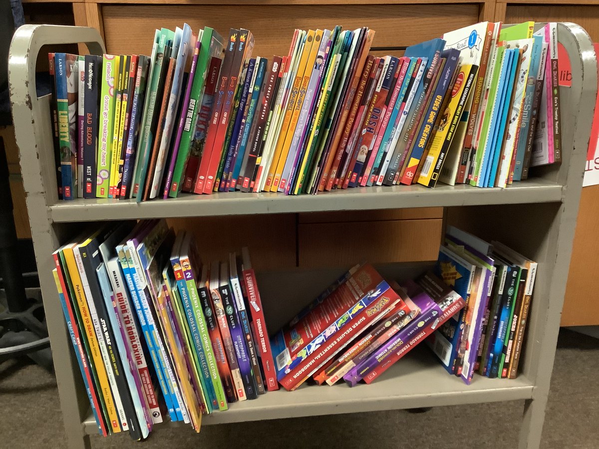 LukensJennifer's tweet photo. The 1st shipment of books are in! Thank you #3rdGradeReaders @amberitis76 #ReadtheFinalFour #Scholastic #INSportsAuthority #CometPride https://t.co/i4UEc5YbyA
