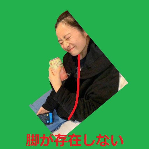 FakeNews_Killer's tweet photo. あるはずの脚が存在しないことを説明する画像を追加
（赤線は上半身の正中を表しています）
#長谷川百々花 https://t.co/MGFeyw00kg