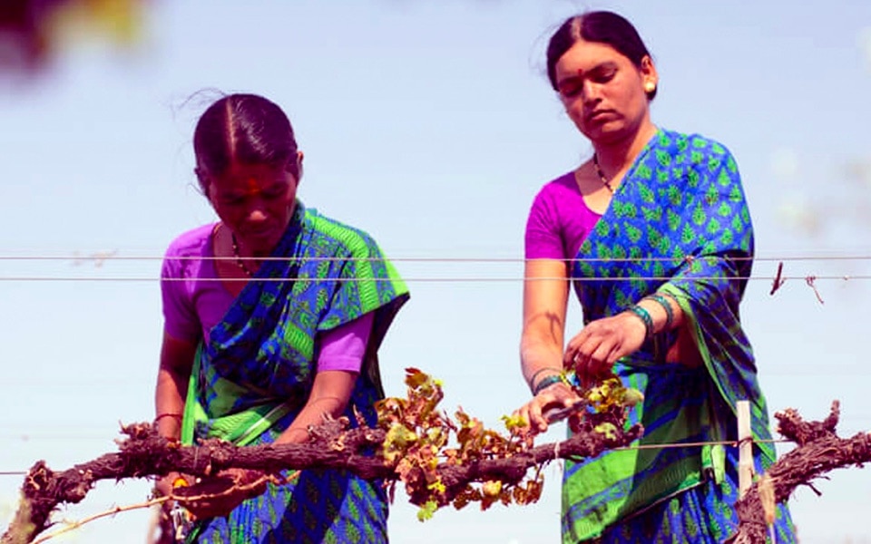 The Indian wine market is hotting up: Meet the makers dlvr.it/Rwfjjl