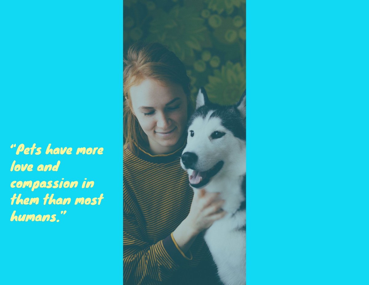 ChastitySantaC1's tweet photo. “#Animals are sentient, intelligent, perceptive, #funny, and #entertaining. 

#ChastitySantaCroce #kids #skits #family #pets #Puppies #FamilyFunTime #familyiseverything #DramaTwitter #dramaqueer #dramathemaid #PetsAreTheBest #petslove #pets2love #kids #boys https://t.co/yGJ1KF25Xc