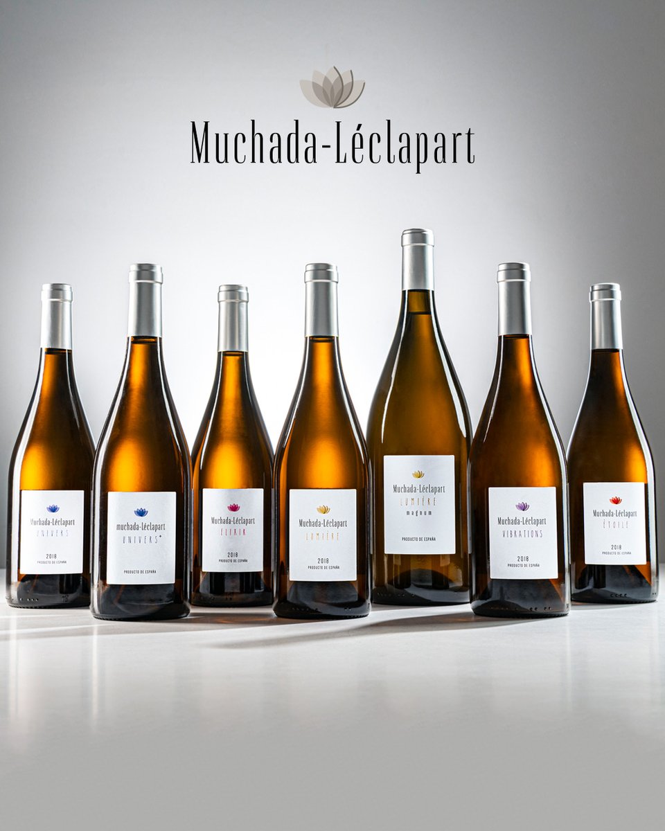 Ya está disponible la nueva añada 2018 y dos vinos muy especiales de 2017 de Muchada-Léclapart, el proyecto de Alejandro Muchada y David Léclapart en Sanlúcar, donde exploran nuevos caminos con la palomino fino y la moscatel. Producciones muy limitadas bit.ly/3w7mBPx