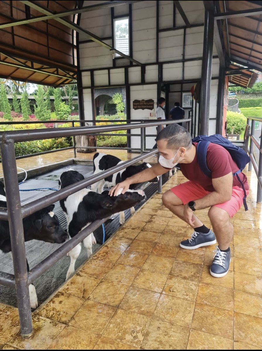 derarszt's tweet photo. Anak sapi aja kusayang dan kuelus2. Apalagi kamu.
#almost6years
#kitabertahan https://t.co/pJlHqu2yT5