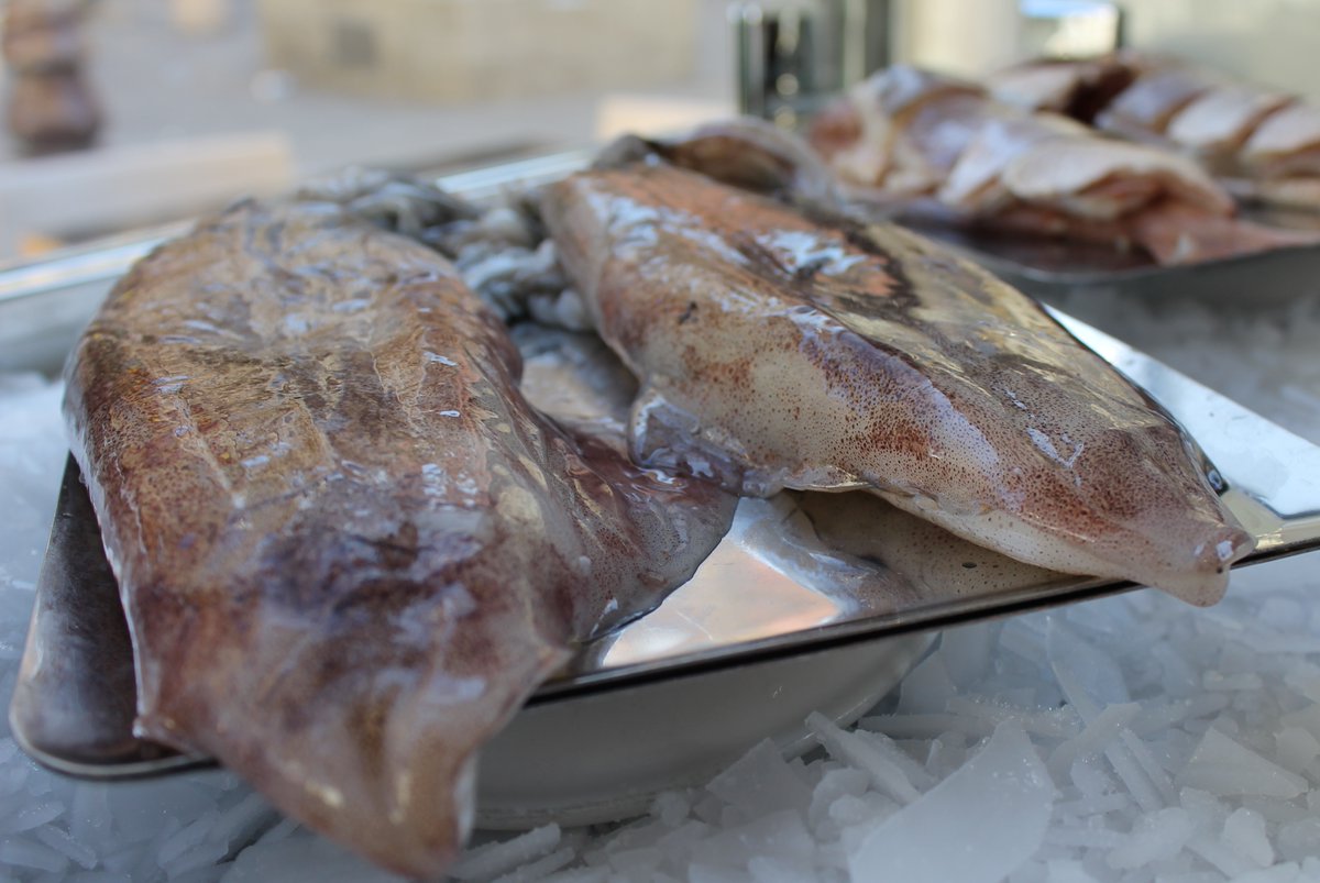 tradevo_sevilla's tweet photo. Cada día contamos con una selección de productos de mercado. ¡Te informamos!.
#tradevo #tradevosevilla #tradevonervion #gonzalojuradochef #restaurantetradevo #tradicionyevolucion #restaurantessevilla
📸 #HugoZapata https://t.co/hflgSWKBq5