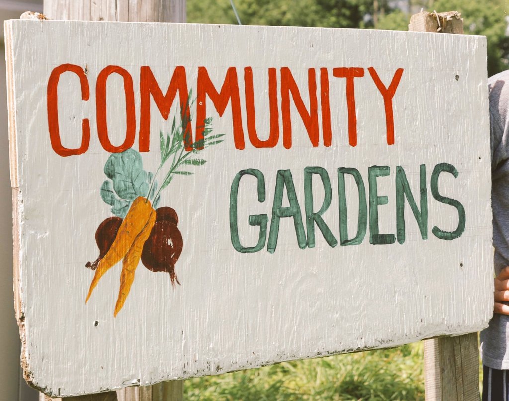 Sunbeamteaching's tweet photo. Today I met with two wonderful ladies who have helped run #WaunfawrCommunityGardens for the 15 yrs in #WaunfawrPark🌱 @Waunfawrps are really excited to continue & expand our #ForestSchool opportunities & utilise this space to grow food, meditate, & explore🐾 #WatchThisGreenSpace https://t.co/FR6VSKqvhE