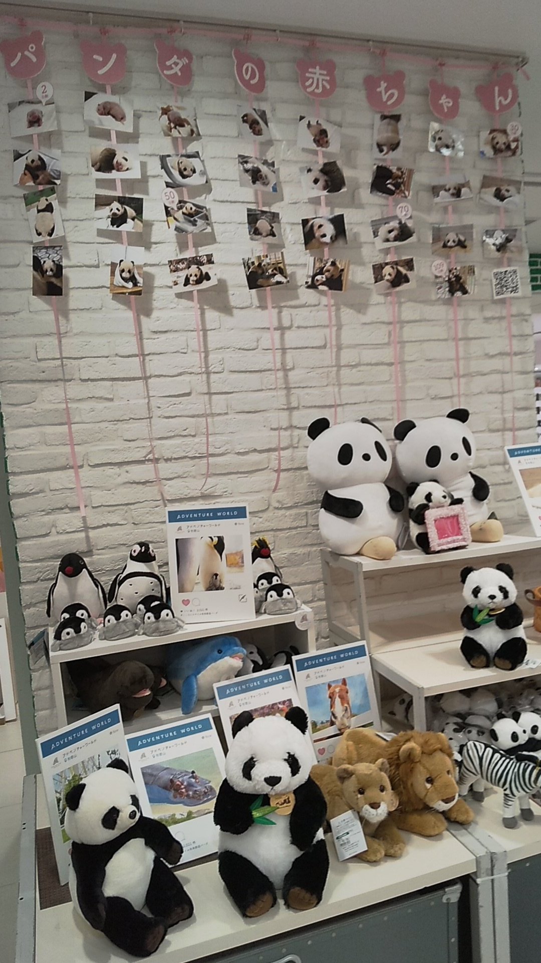 雑貨ギャラリー関西つうしん 蚤の市 秋の装い展 11月27日 迄 東急ハンズ梅田店 アドベンチャーワールドのコーナーです 新商品が届いていて 4月16日 迄です 東急ハンズ梅田店 アドベンチャーワールド 新商品 パンダ雑貨 楓浜 楓浜グッズ