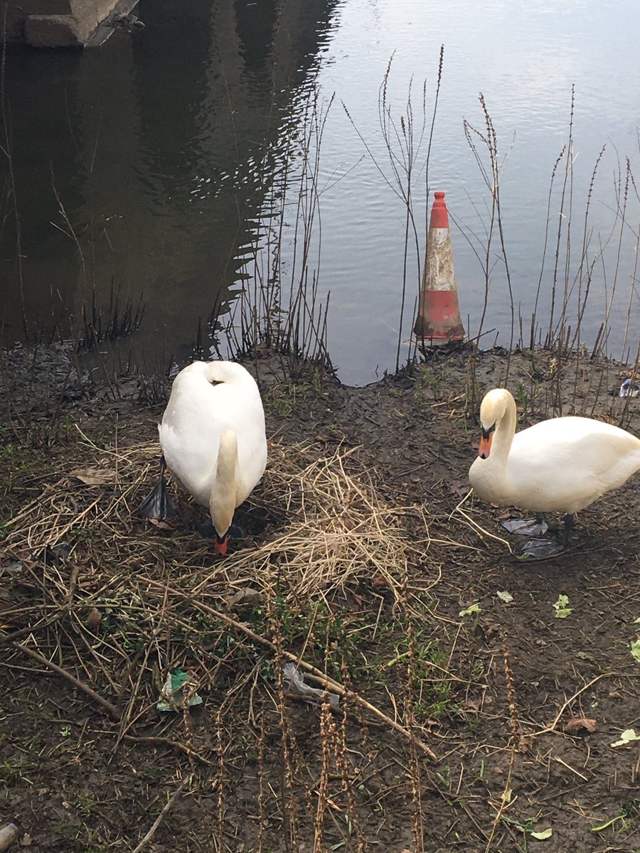 The Swan Hotel tweet media