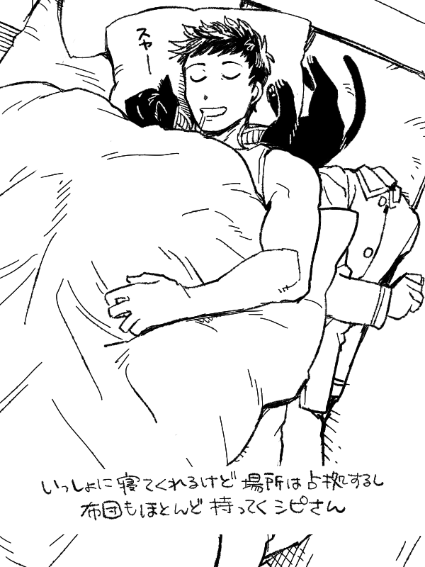 シピさんの夢絵です 