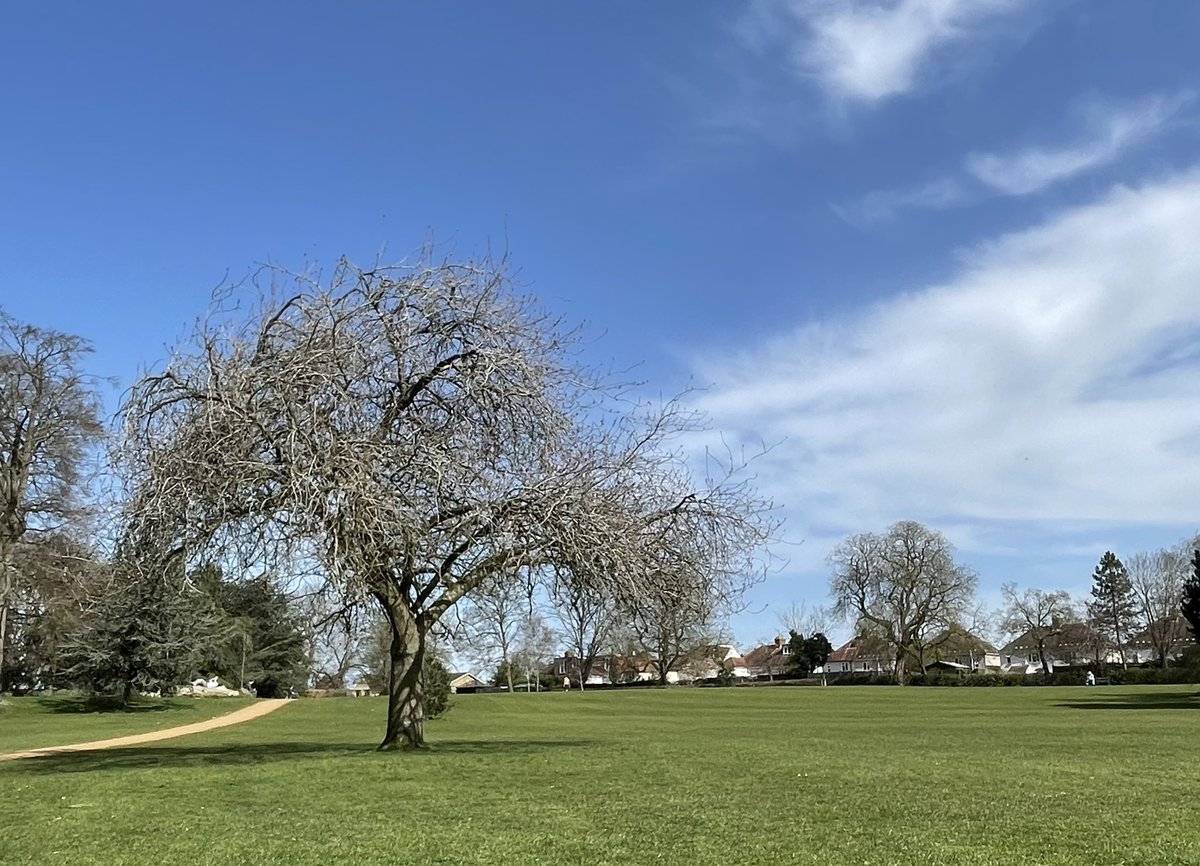 I know there’s talk of snow next week, but I’m sitting in the park, wearing shorts (?!), listening to <a href="/SanCiscoMusic/">San Cisco</a> and everything just feels like summer.