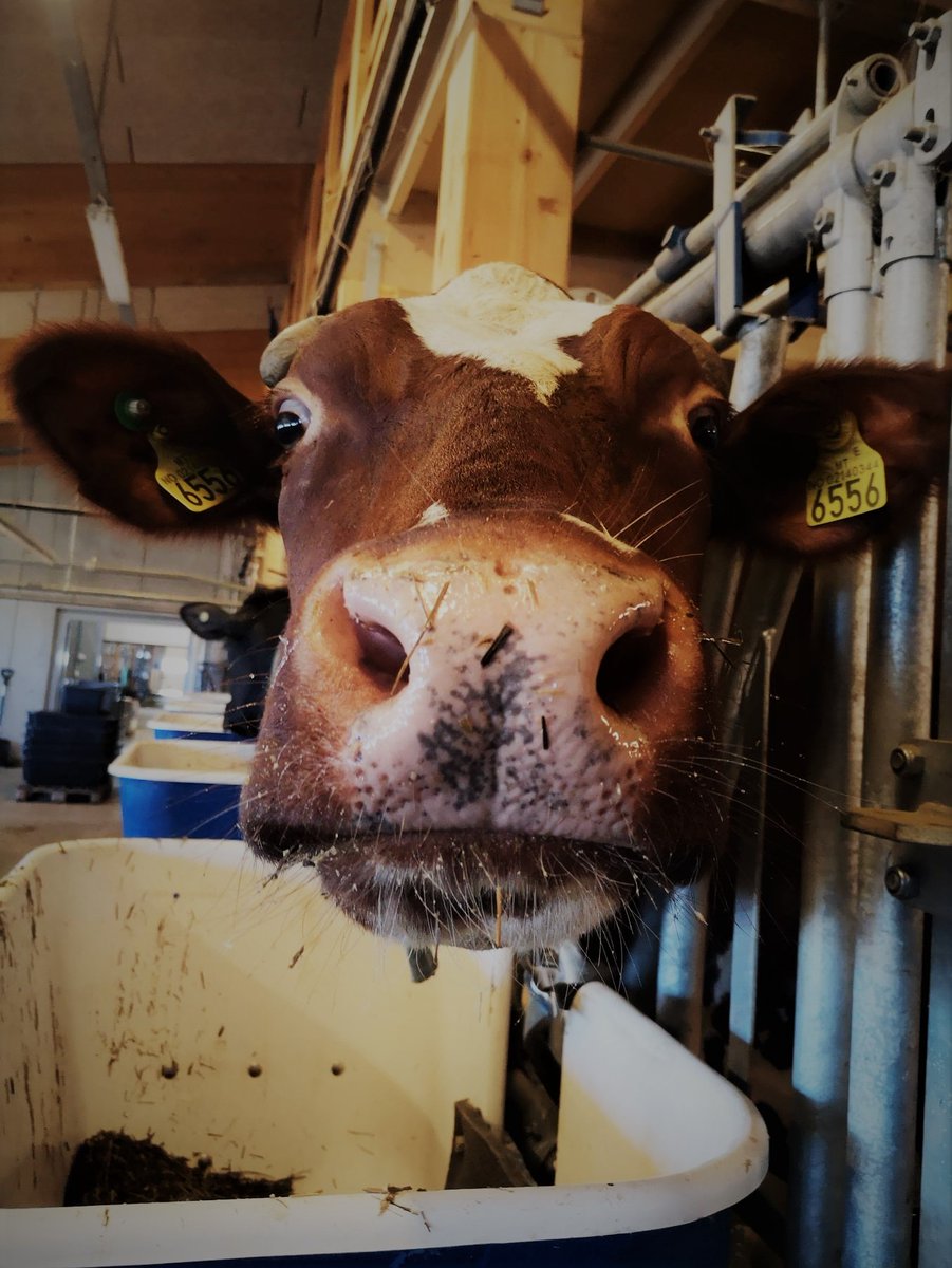 Live H. Hagen tweet media