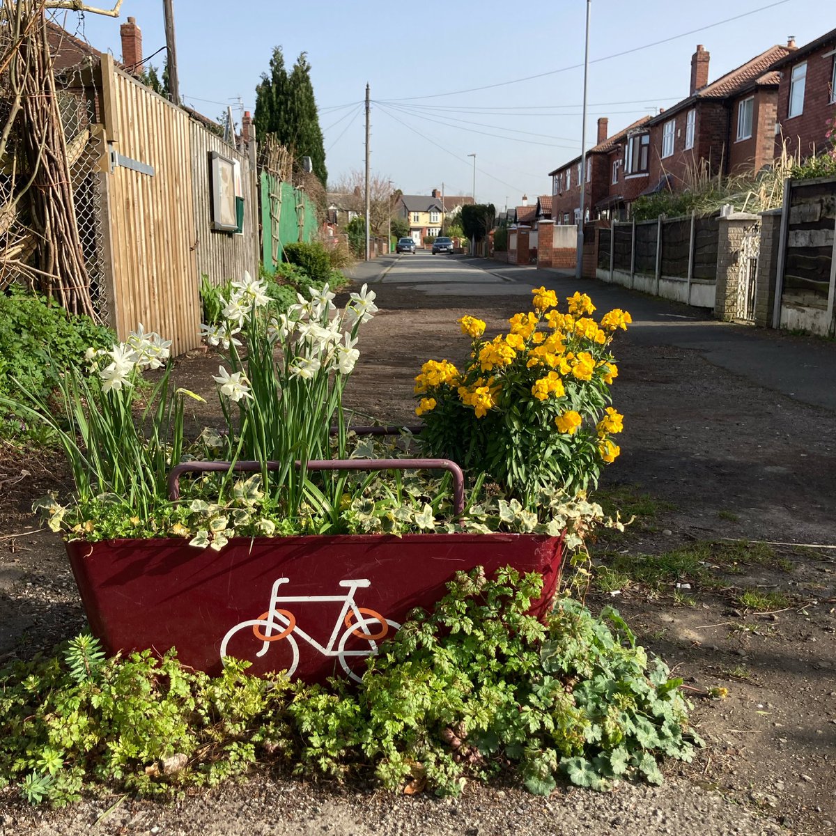 BudGardenCentre's tweet photo. Bike rack at Bud: rarely watered or fed, just does its thing. https://t.co/k8k4wntFdT