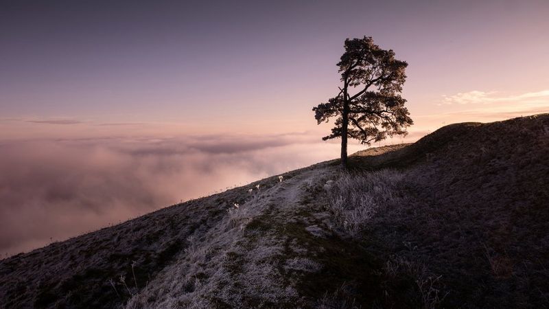 CanonDEU's tweet photo. Heute haben wir #TuedayTips für Landschaftsaufnahmen für dich! 
Grundlegende Kamerakenntnisse, Aufnahmetechniken und Tipps, die dir helfen, deine Landschaftsfotos auf das nächste Level zu bringen: https://t.co/aim7NE4FLy https://t.co/aVUtg9dPez