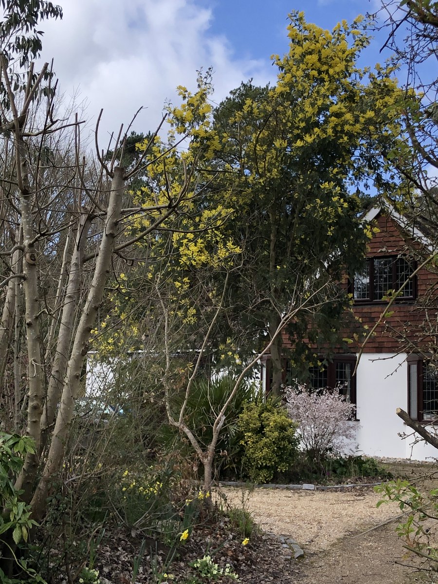 Gordon Luff tweet media